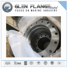 Flat Flange/ANSI/En/DIN/ Non-Standard Flange